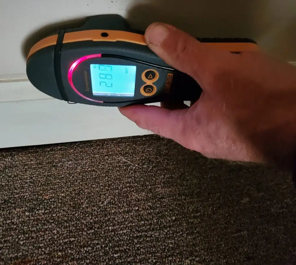 Moisture detection at baseboard during Mold Inspection & Testing in Columbia